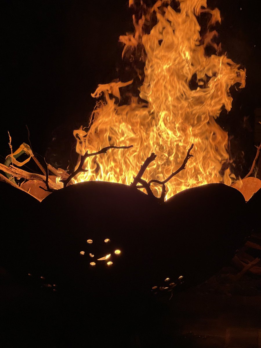 FleurFerris's tweet photo. Back yard fire. Do you see the screaming animal shape in the flames? 👀 #coolnights #perfectautumn #clearskies #stars 🔥 https://t.co/Sp8jVVGYgp