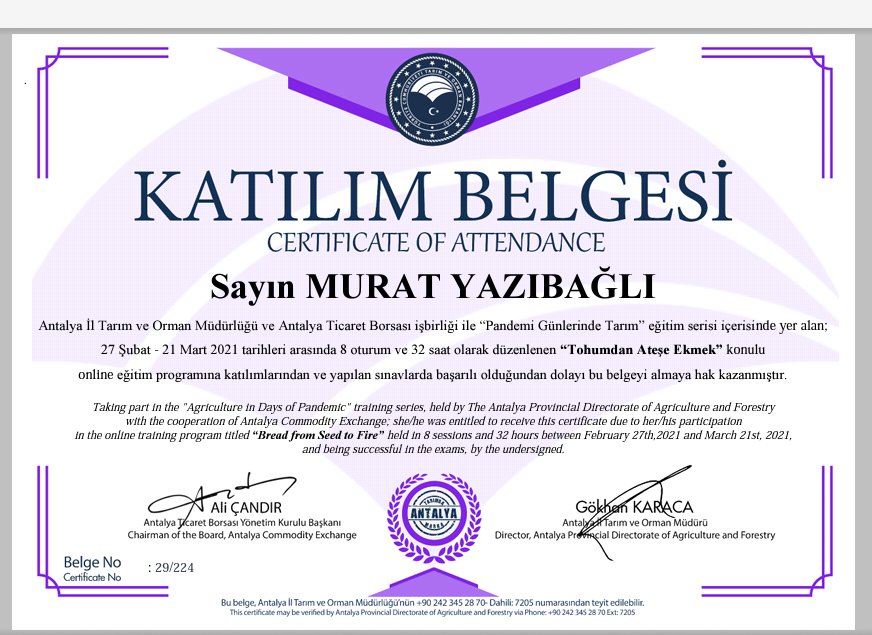 Emeği geçen herkese teşekkür ederim 🌹
#belgemgeldi