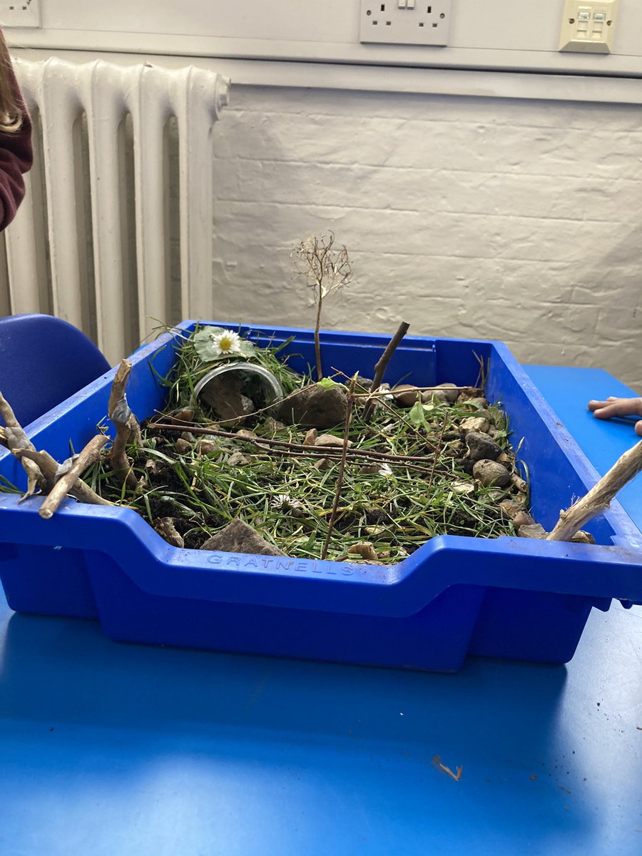 St_JamesYear4's tweet photo. Check out these fantastic Easter gardens created by 4 Ghana #Easterstory https://t.co/o0jWaiDxib