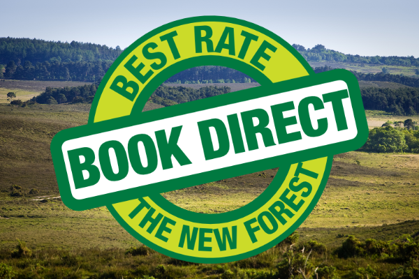 GoNewForest's tweet photo. Book Direct The New Forest - Get the best rate possible, access to extra treats and support the local economy! 💚https://t.co/R4rw7L6v5P https://t.co/1g0ZNjV4dD