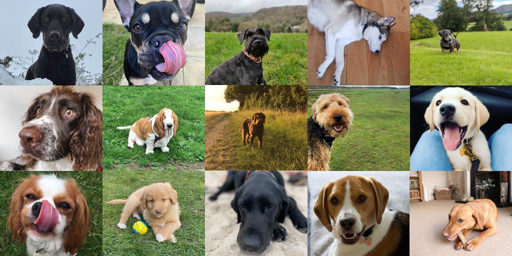 Wealthify tweet media