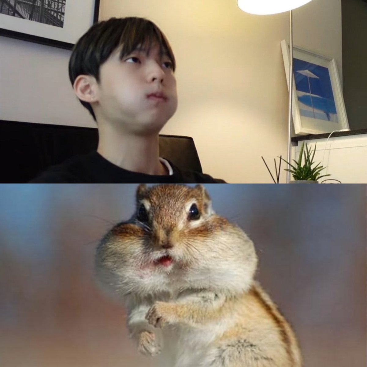 btob2mh's tweet photo. 다 같은 사람이라는게 믿겨짐? 미친 것 같음.. https://t.co/N0GwcRCrah