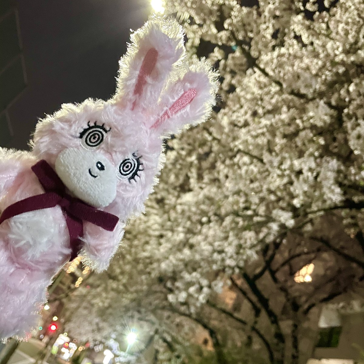 nicousaofficial's tweet photo. 今日から4月🌸
あったかくて過ごしやすいね♪
新しい生活の人も、いつも通りの人も
どんな1日だったかな？？ https://t.co/XjhkYLQHer