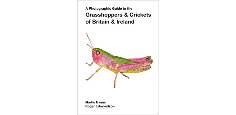 Win a copy of “A Photographic Guide to the Grasshoppers & Crickets of Britain & Ireland” worth £21.95. To enter sign up to receive book news from Atropos about new releases and special offers on books about butterflies, moths and other insects. Go to eepurl.com/dy5IAP