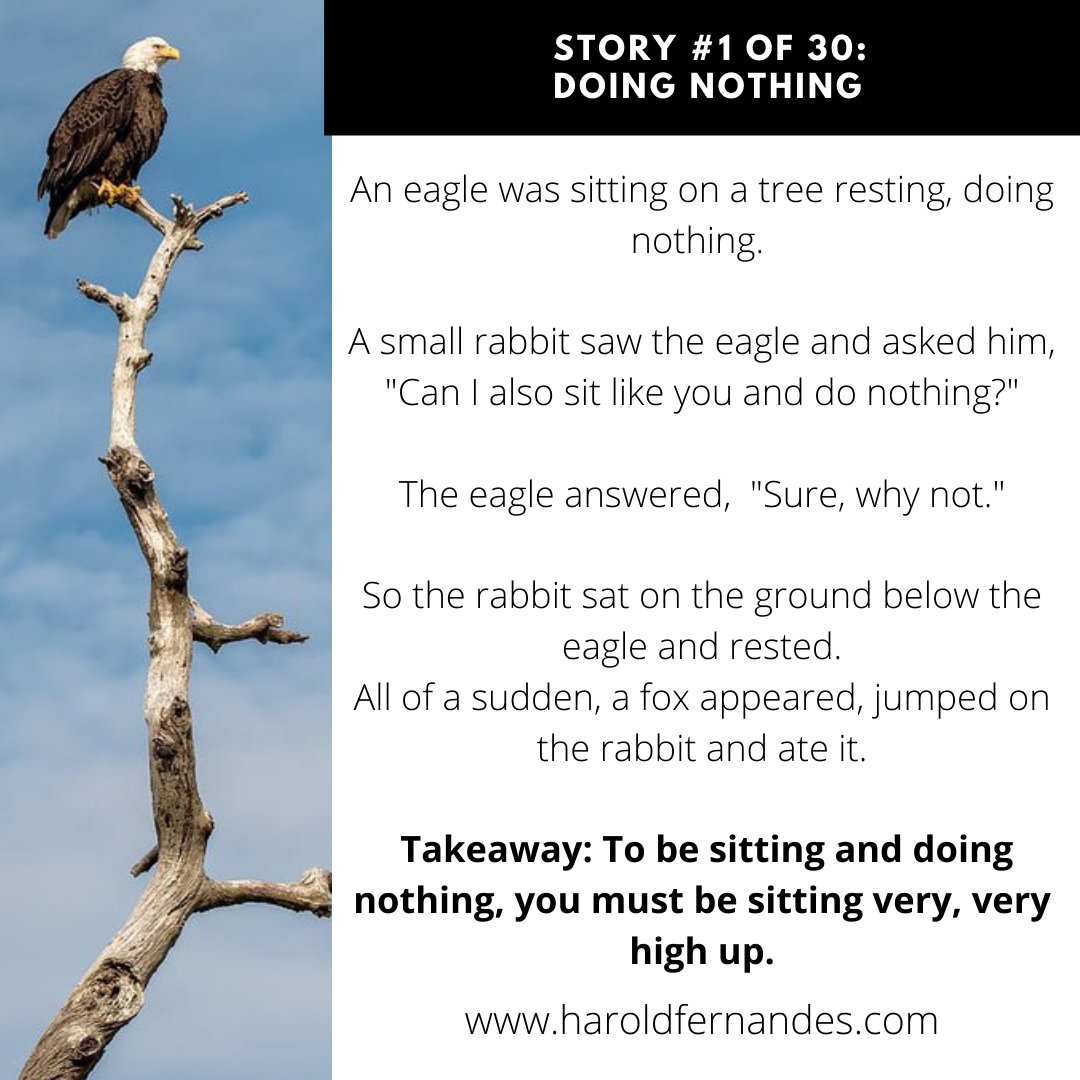 haroldfernandes's tweet photo. "To be sitting and doing nothing, you must be sitting very, very high up."

Source - unknown

#inspiration #meditation #Storytelling #successmindset https://t.co/6i2RP0nHvW