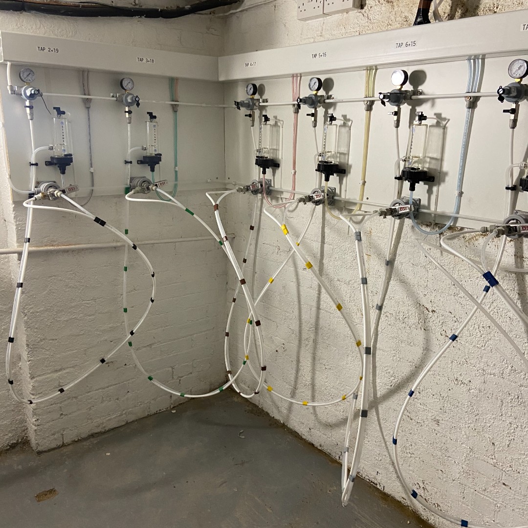 archway_Tavern's tweet photo. Additions to the cellar coming along nicely.
Watch the space... which space?  

#backbar #euros #gigs #brightnights #events #comedy #beer #wine #taps #tapwall #stage https://t.co/Lpbao1ljMV