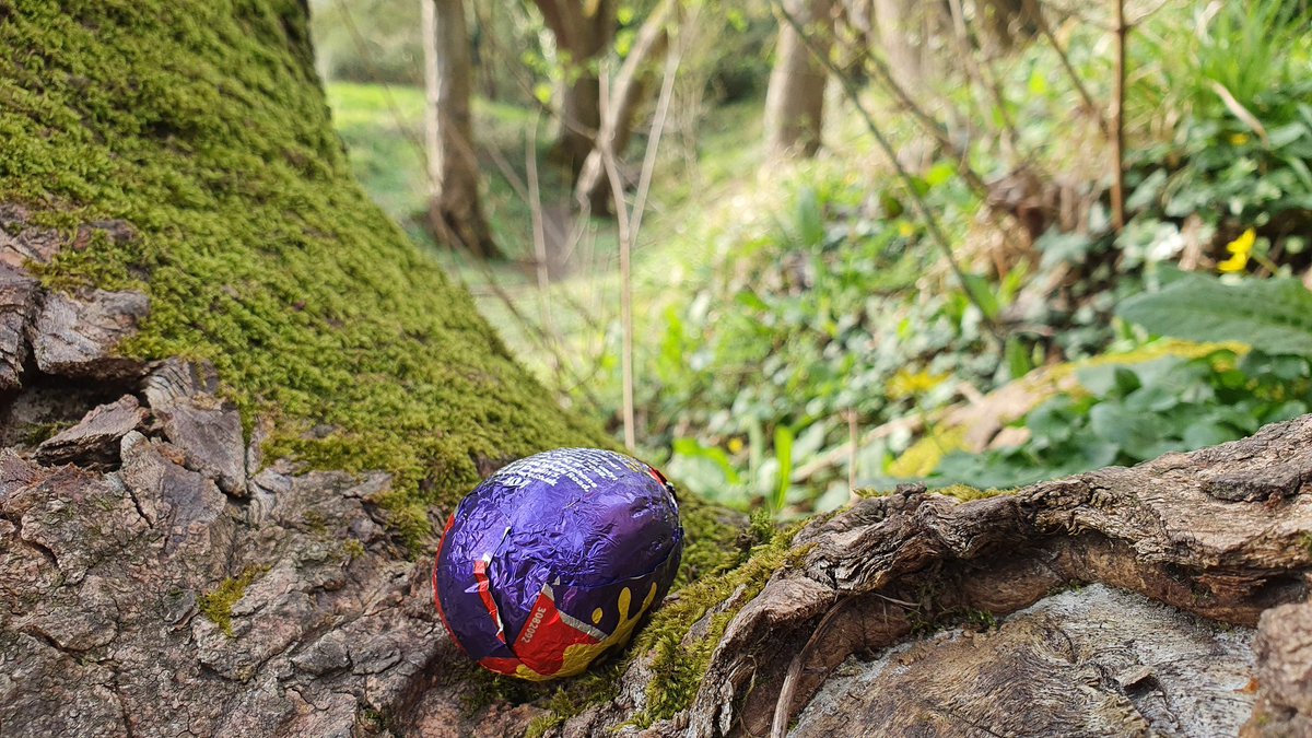 51stBathScouts's tweet photo. All our members had an awesome time
hunting for Easter eggs over the past couple of days. 🐣 It's great to be back outdoors again and working together, which is what we do best as Beavers, Cubs and Scouts. 🥳 We can't wait to do more and more as we are able to. 🧗 https://t.co/tMinFL8DBi