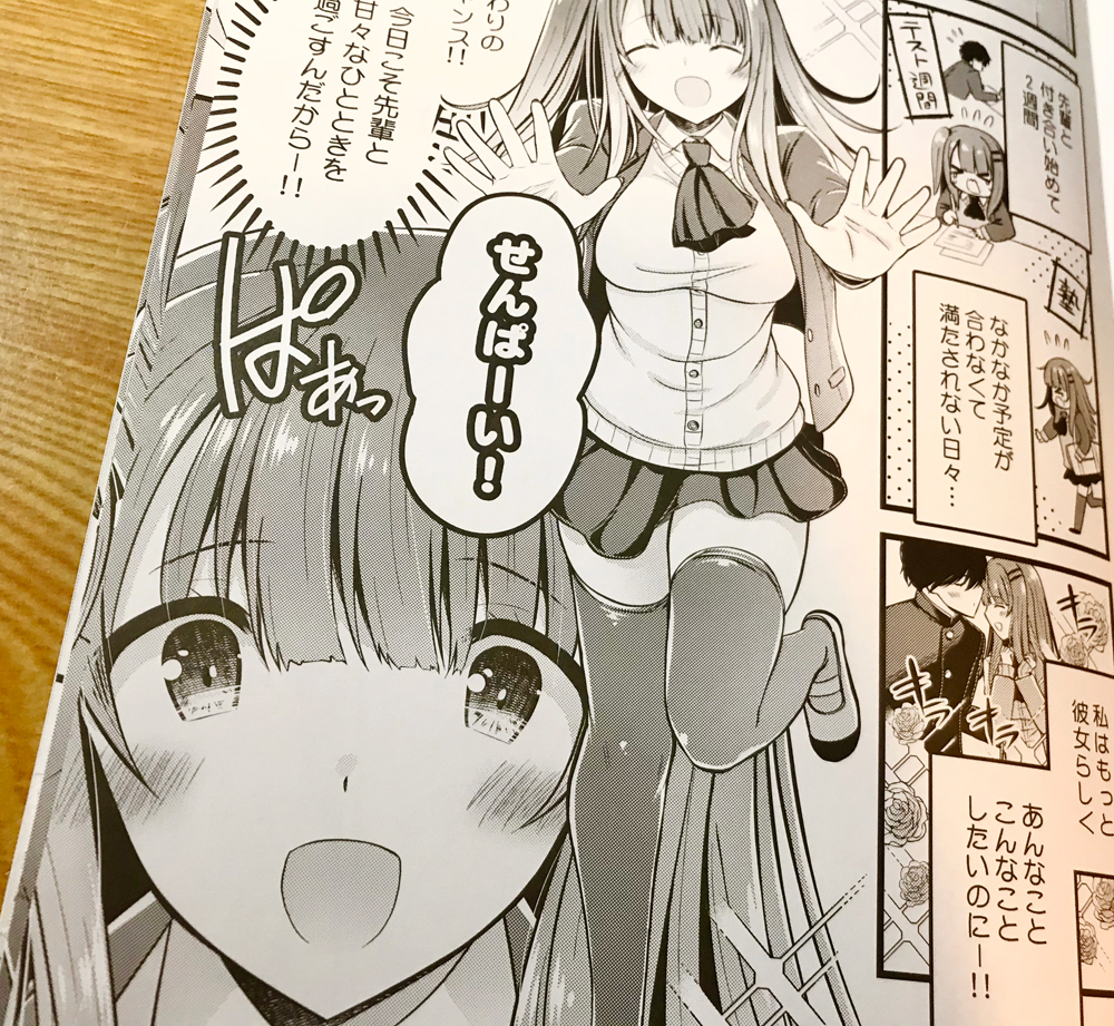やったー!紙の本届いたー!
ちゃんとできてる!よかったよかった… 