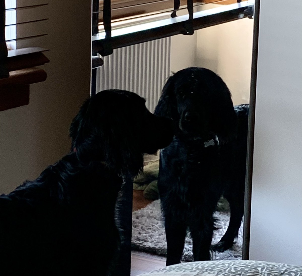 evmcelhinney's tweet photo. 💭 🤔 #setters #settermix https://t.co/VjC7egG7Cw
