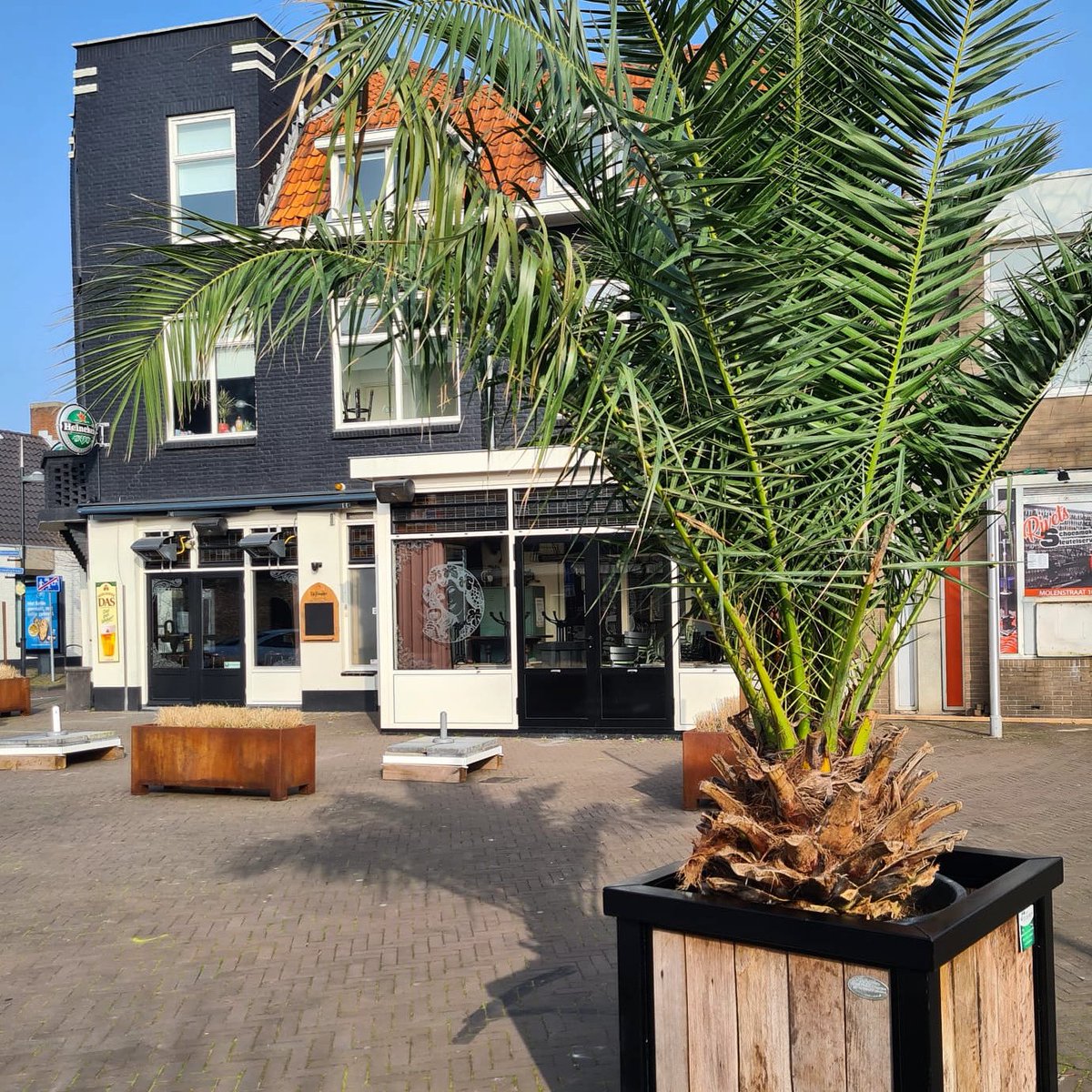 CSlimmerick's tweet photo. @nwf_naaldwijk wordt tropisch aangekleed door @VanStraalen. Dat ziet er toch gezellig uit! 🤩

Wij zeggen deuren open, terras naar buiten en genieten maar ☀️

#Naaldwijk #Westland #tropischesferen #blauwelucht #zon #terras #horeca #opennlnu https://t.co/lsfOaQ7ZTF