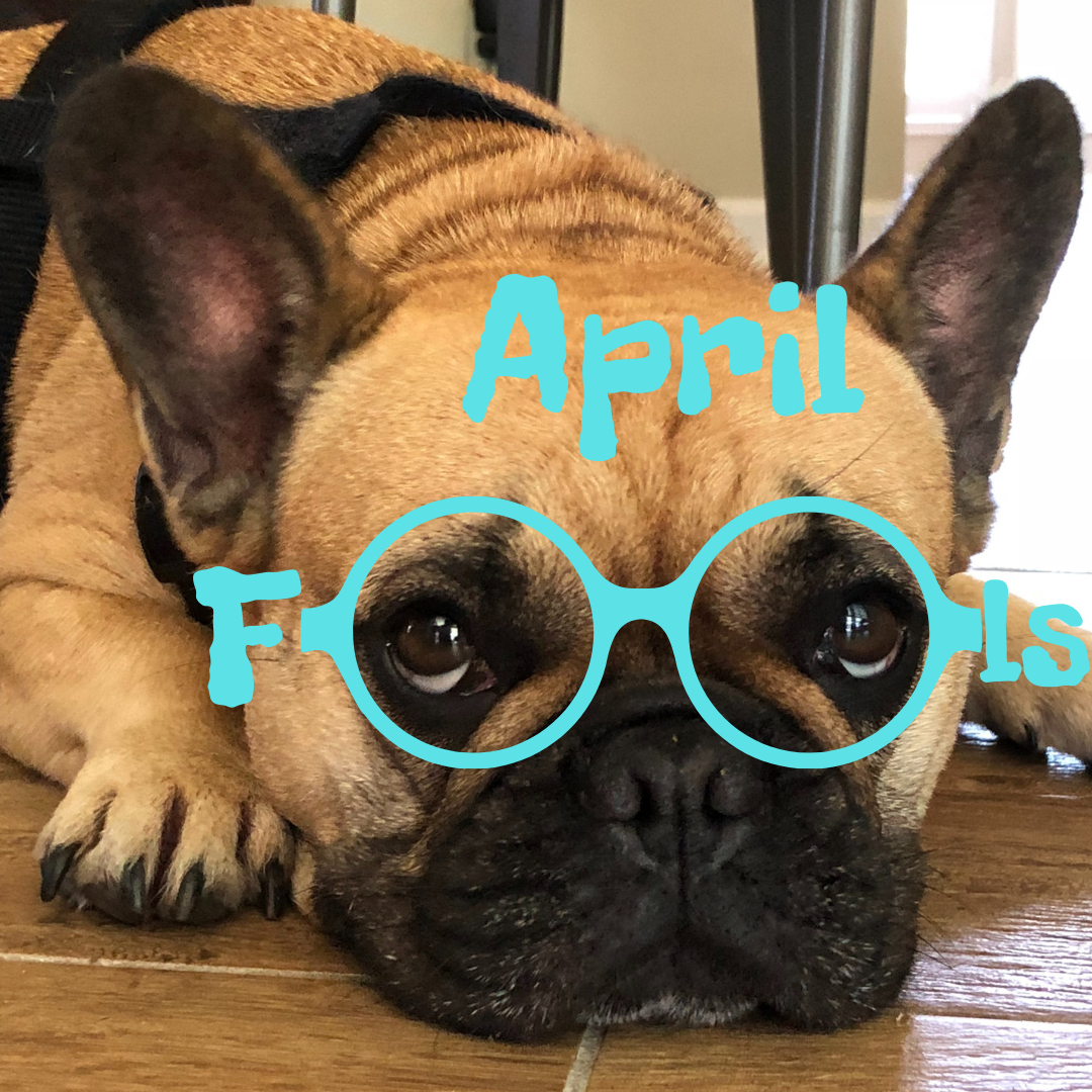 Curicynproducts's tweet photo. If you have anything important to tell me, tell me tomorrow cause I won't believe you today. Happy April Fools Day 😁 #curicyn #animalwoundcare #becausewecare #pin https://t.co/z65F9FtO2M