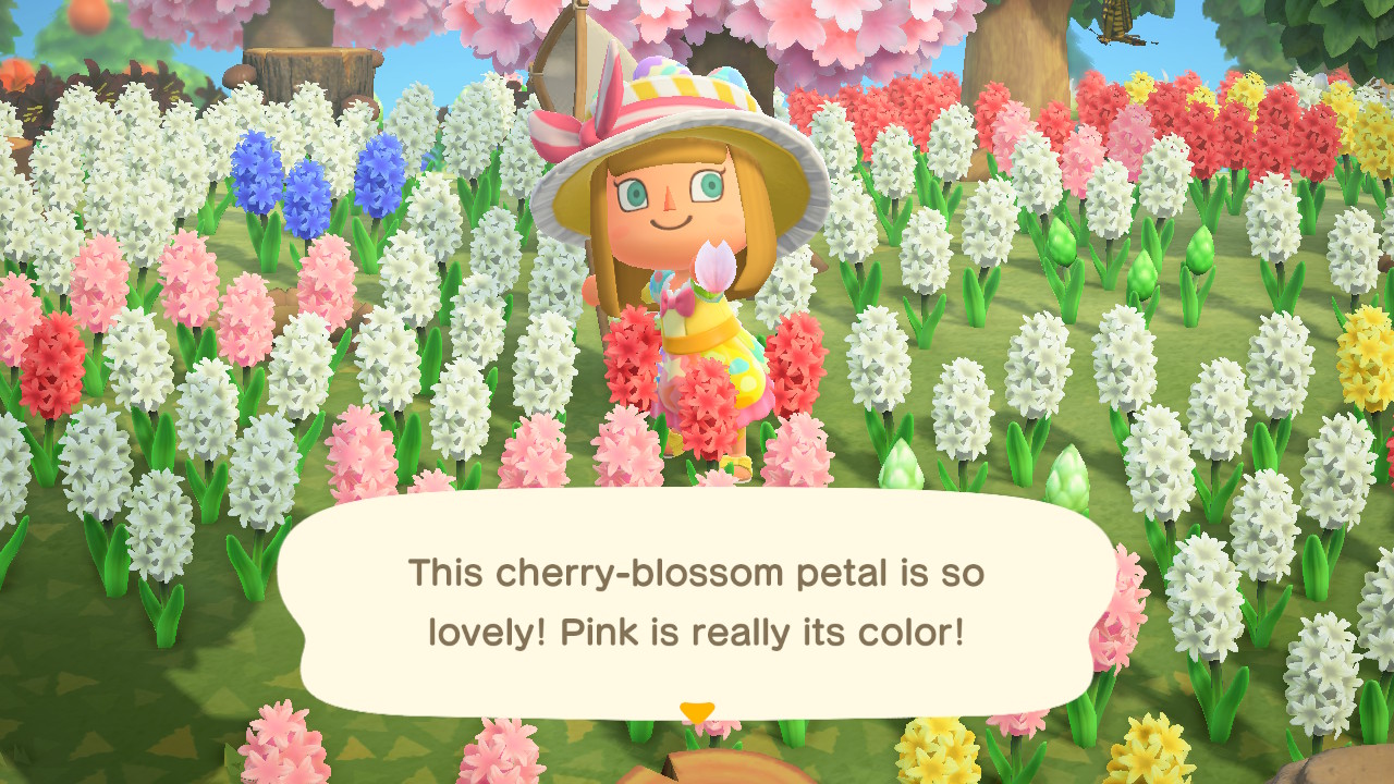 Animal Crossing New Horizons: How to get Cherry Blossom Petals (& What They  Do)