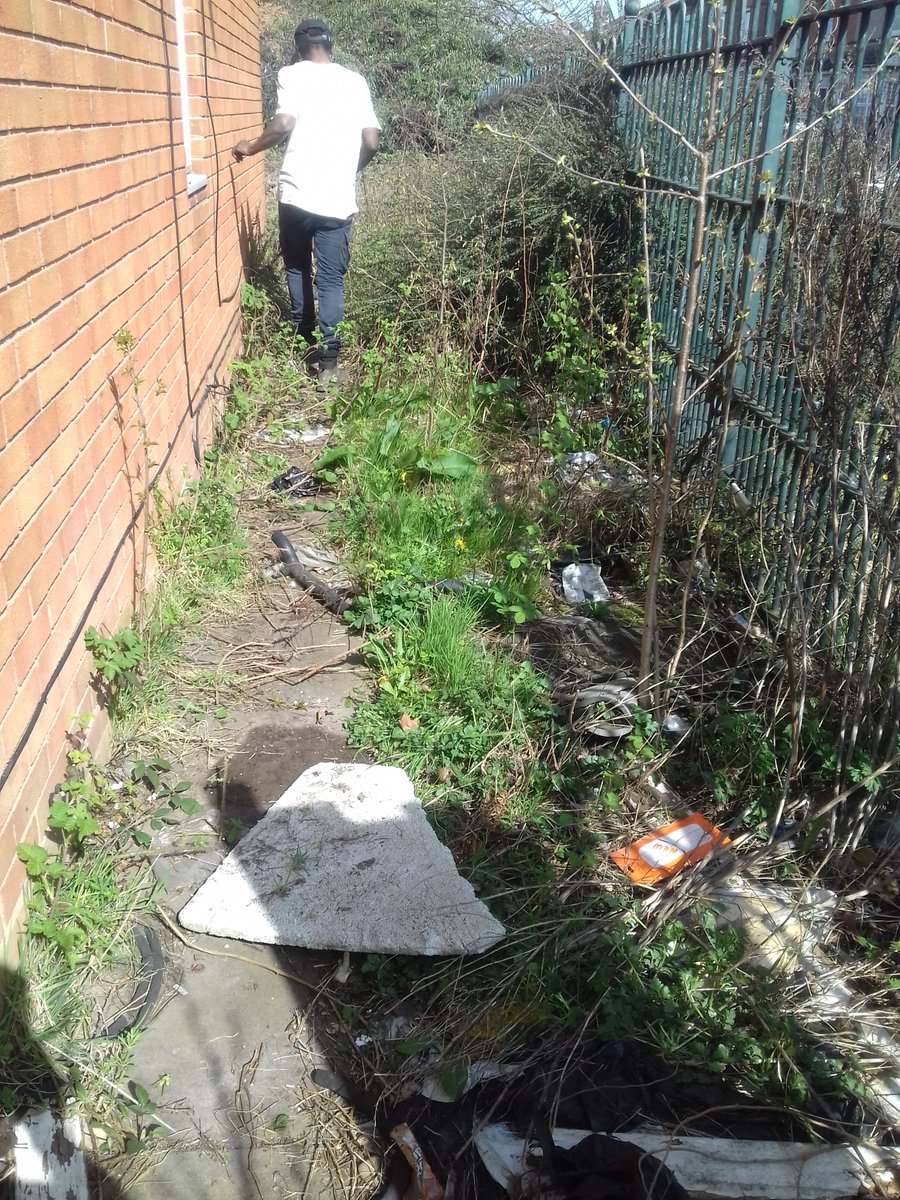 youngtrepreneu1's tweet photo. When a tear comes 2 the eye of someone you're helping who has struggled 2 get support from anyone with her garden over the yr, you really start 2 imagine what it must've been like😢. On a positive note, we haven't even started yet💝. #CreatingJobsForYouth 💪😎 #BetteringLives🙏 https://t.co/hqnks9BE9v