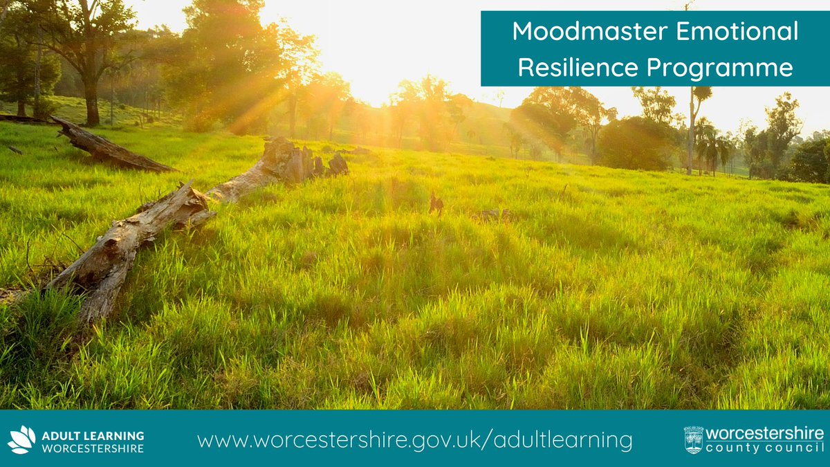 AdultLearnWorcs's tweet photo. Are you suffering from mild stress, #anxiety, #sleepless nights, depression or any other mild #mentalhealth issue?

More info : https://t.co/djTh0EgZyN or call 01905 728537

#Moodmaster #resilience #mentalhealthawareness #onlinelearning #worcester https://t.co/aBcIOvlGMV
