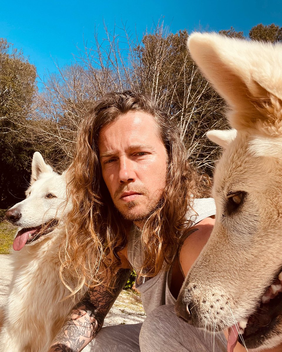 jdoreofficiel's tweet photo. Mi Perro 🐶 y mi Perra 🐶 https://t.co/hX0J0yKiI2