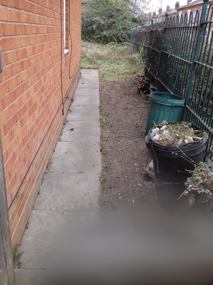 youngtrepreneu1's tweet photo. When a tear comes 2 the eye of someone you're helping who has struggled 2 get support from anyone with her garden over the yr, you really start 2 imagine what it must've been like😢. On a positive note, we haven't even started yet💝. #CreatingJobsForYouth 💪😎 #BetteringLives🙏 https://t.co/hqnks9BE9v