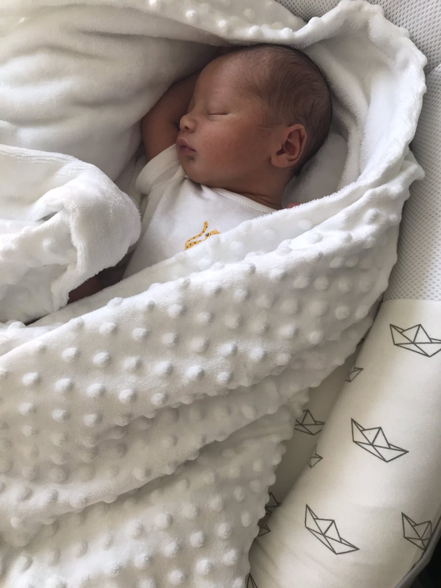 ravenchantae's tweet photo. Roman James Panter💙🥰 https://t.co/l359V6DgPA