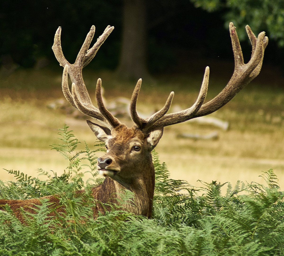 blowUP media UK tweet media