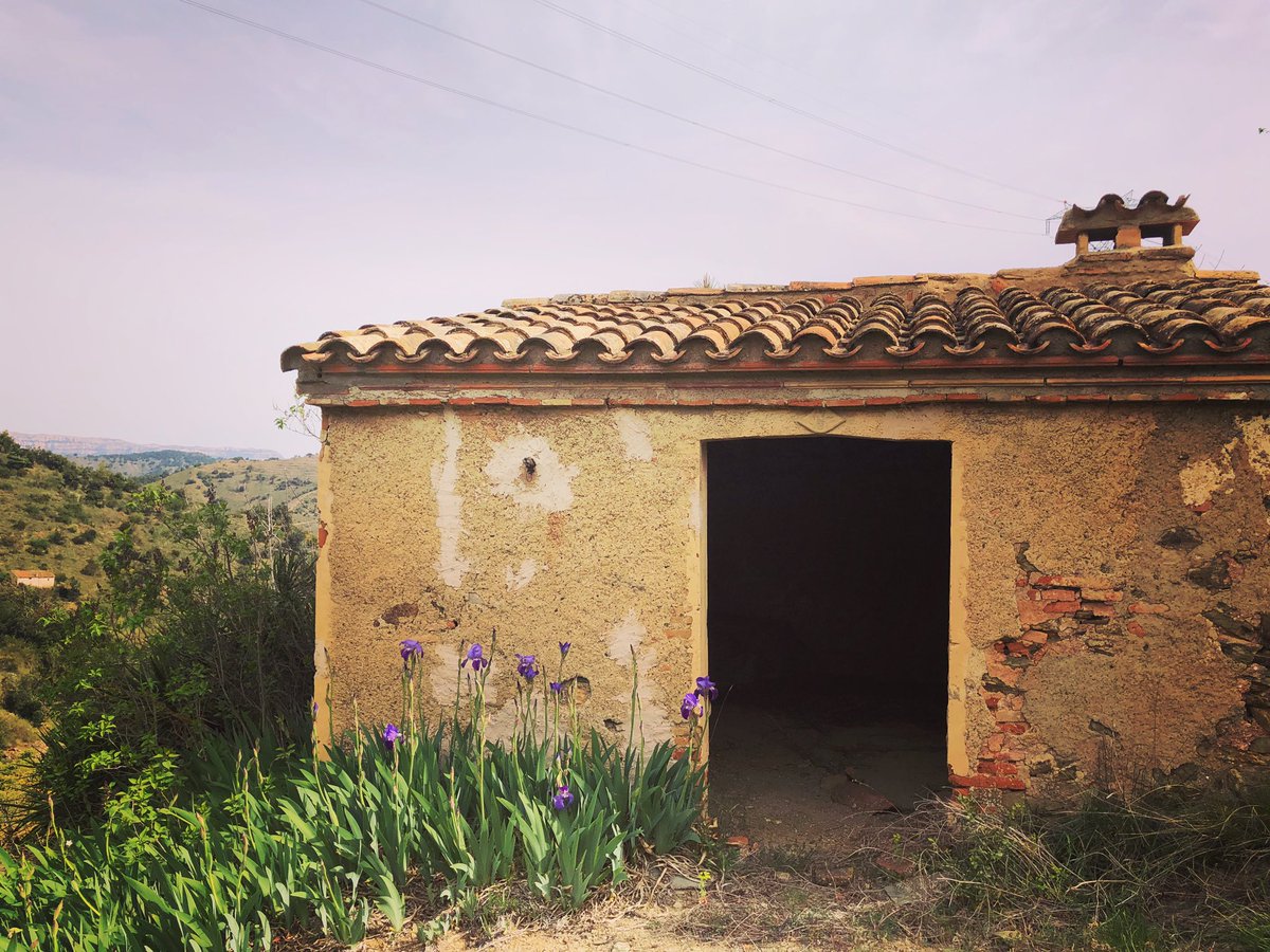 PlegadesA's tweet photo. Lo maset del tros del porteta #priorat #lotros #masos #avellanadecoster #plegadesamà https://t.co/L6B4fCNSnp