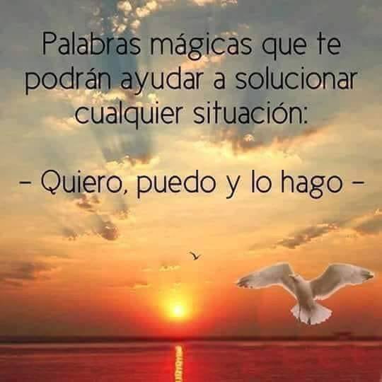 PauloCoelhoDice's tweet image. 