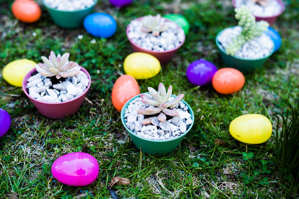 Looking for a last min #easter gift. Stop by our pop-up Friday and Sat 10am-2pm for a selection of succulents and flowering plants perfect for your #easterbasket check our site for details #succulents #visitphilly
