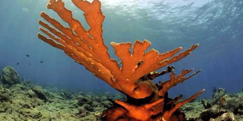 Levestone tweet media