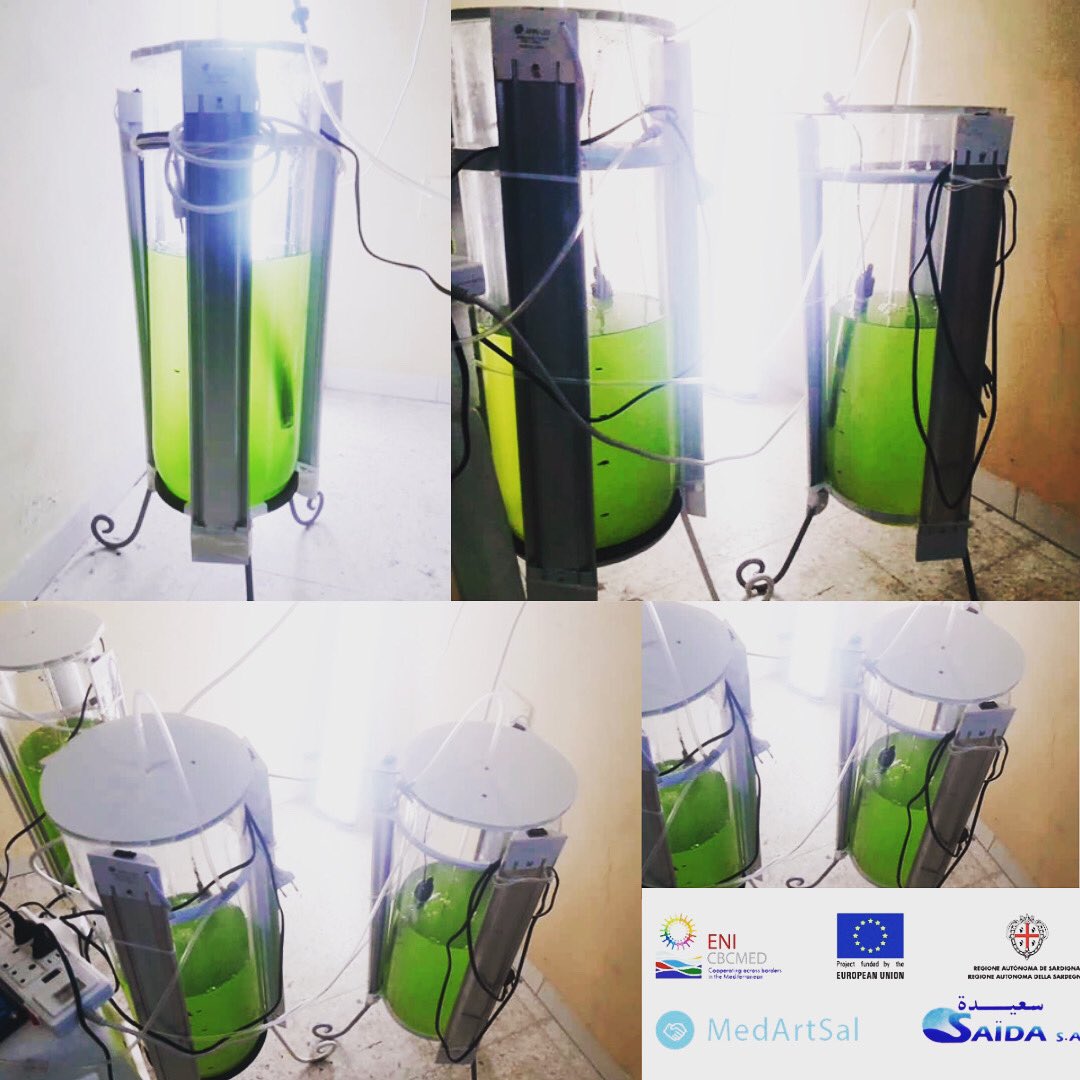 stesaida's tweet photo. Scale-lab culture of Dunaliella salina green phase .
To know more about this process check our instagram 
@ENICBCMed  
#medartsal  #Go_med #saida_sa https://t.co/dRnnRF3rfv
