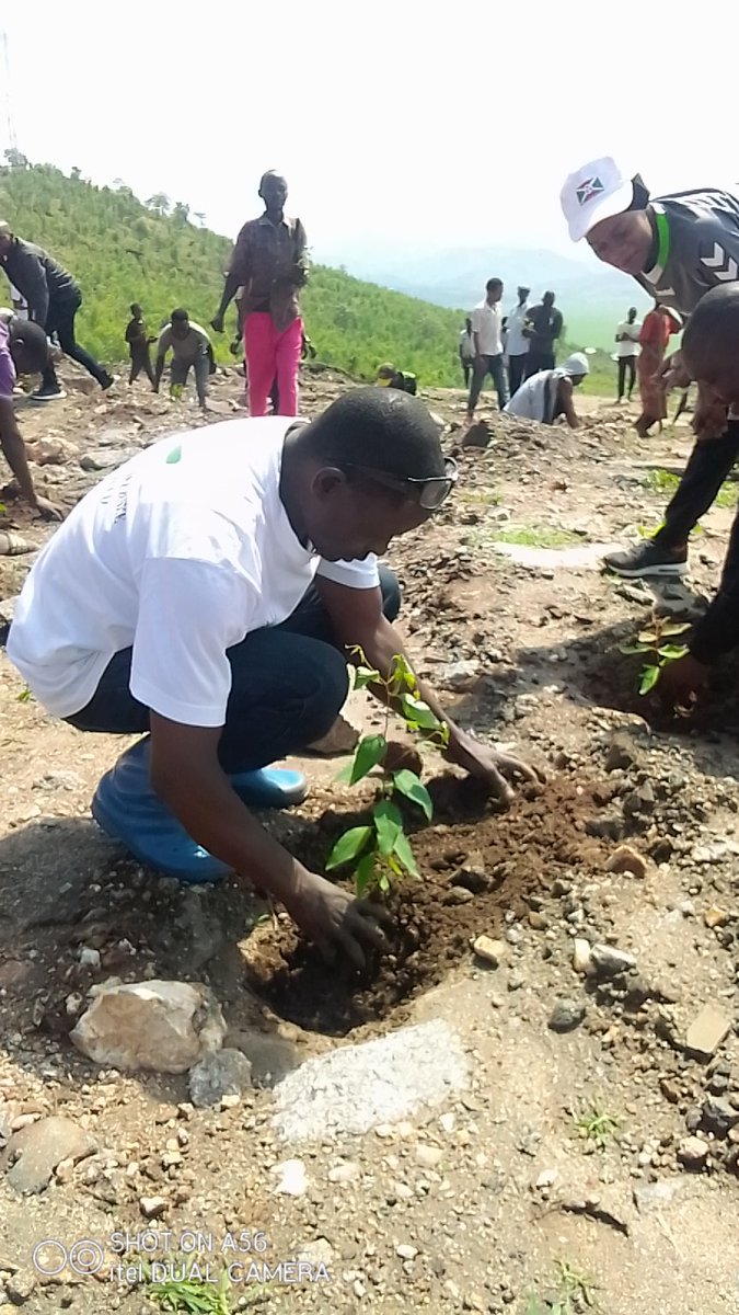 BubanzaCommune2's tweet photo. #Burundi,ibiti vy'imikaratusi bigera Ku 6203 nivyo vyatewe k'umutumba wa #Kibangu uri muri zone #Mitakataka muri wamugambi #Eweburundi_Urambaye aho vyatewe iteka n'abahanuzi ba #Buramatari wa @BubanzaProvince hamwe n'abajejwe imirimo itandukanye muntara. https://t.co/4gDdGSMaJM