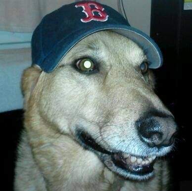 #goredsox opening day 2021 ~angel💜abby~