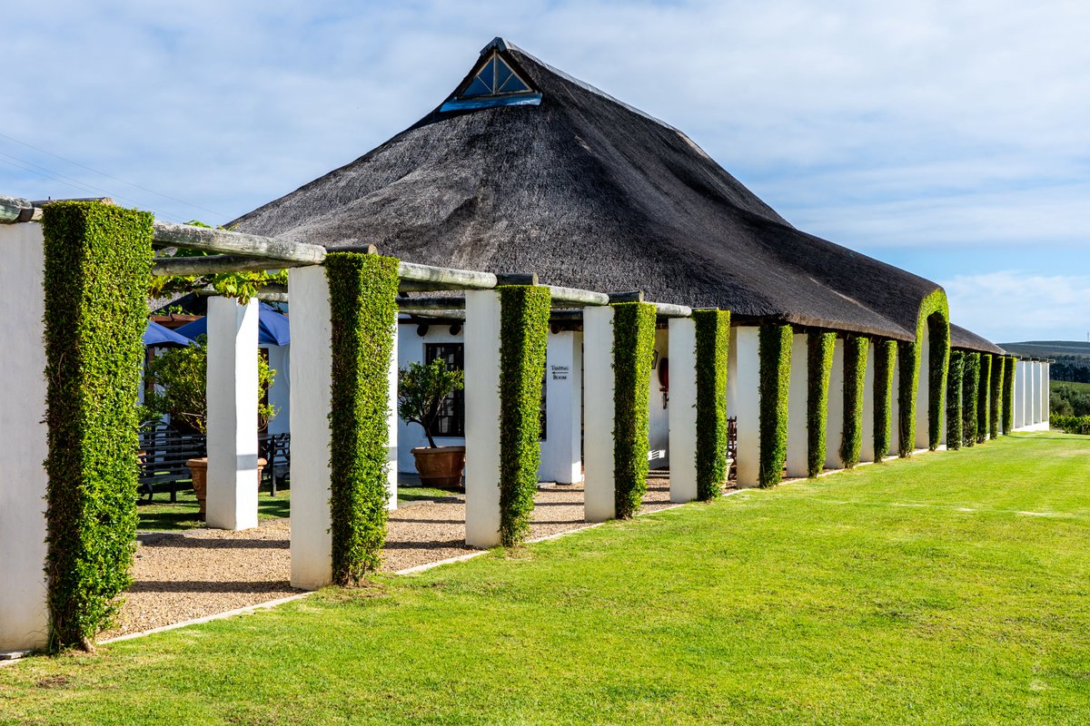 It's due to be a Good Friday indeed as we keep our doors open this Easter weekend from 10am to 4pm daily for tastings.

All wines purchased will be delivered as soon once regulations allow. 

#BouchardFinlayson #easter #capetown #whattodoincapetown