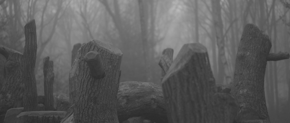 Fishclaw tweet media