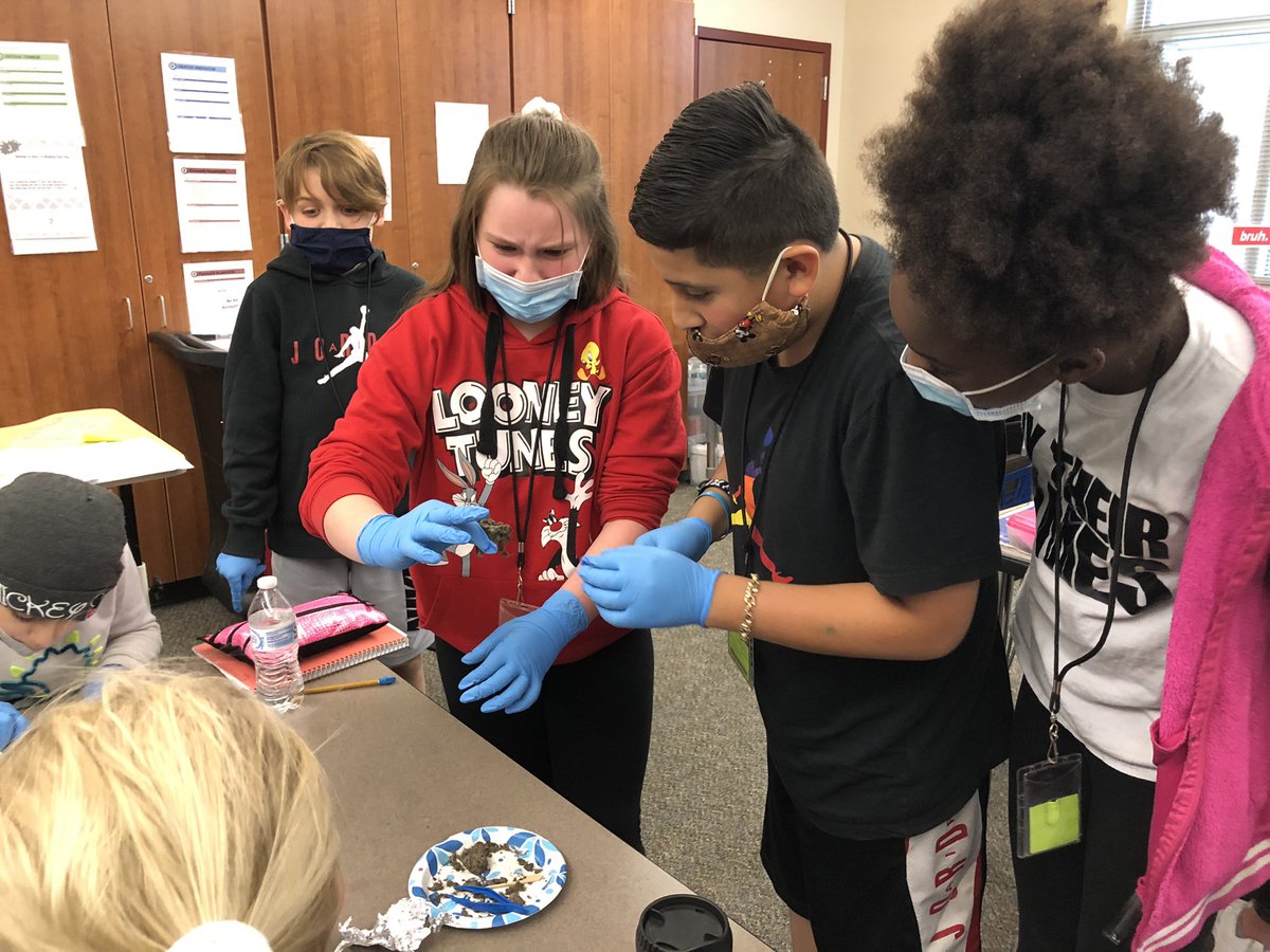 MrStark5th's tweet photo. Let's say it together: regurgitated! Food Webs means owl pellet time. Sometimes "ick" creates the most lasting content connections! #stem #5thscience #ecosystems @HumbleISD_ASE @ASE_PTOHumble https://t.co/AGfO0iumzz