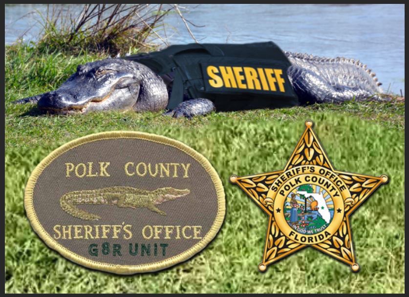 PolkCoSheriff's tweet photo. Last month, a suspect tried to drown one of our K-9s. We’ve got a new unit now - try drowning one of these, bad guys. #G8RUnit #G8rDone #AprilFools https://t.co/PCzcMAydA9