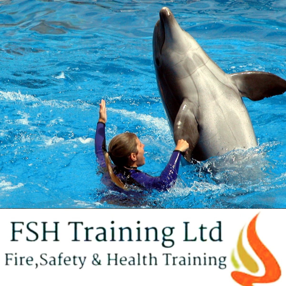 We are delighted to finally be able to reveal our new Dolphin Training course that will be held on the Royal Canal each Saturday for the month of April #DolphinTraining #BecomeADolphinTrainer #RoyalCanal #AprilSpecial