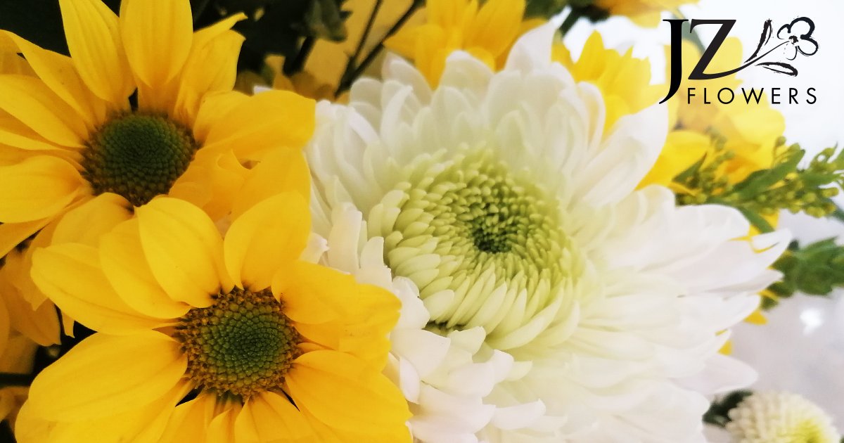 JZ Flowers tweet media