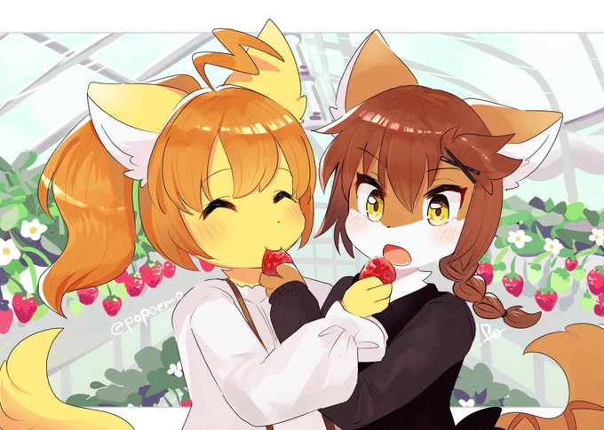 いちご狩り🍓🍓 