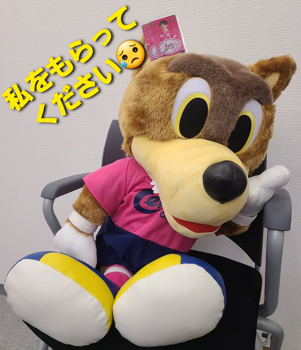 Cerezo Onsite Card Official S Tweet こちらメガストアを見守ってきた高貴なロビーさんです これからオンサイトカードの店長にしようと思ってましたが 考えてみると 毎回屋外に出すと 汚れていくのが可愛そうなので 明日4 2 Xxx番目のお客様にお譲り致します