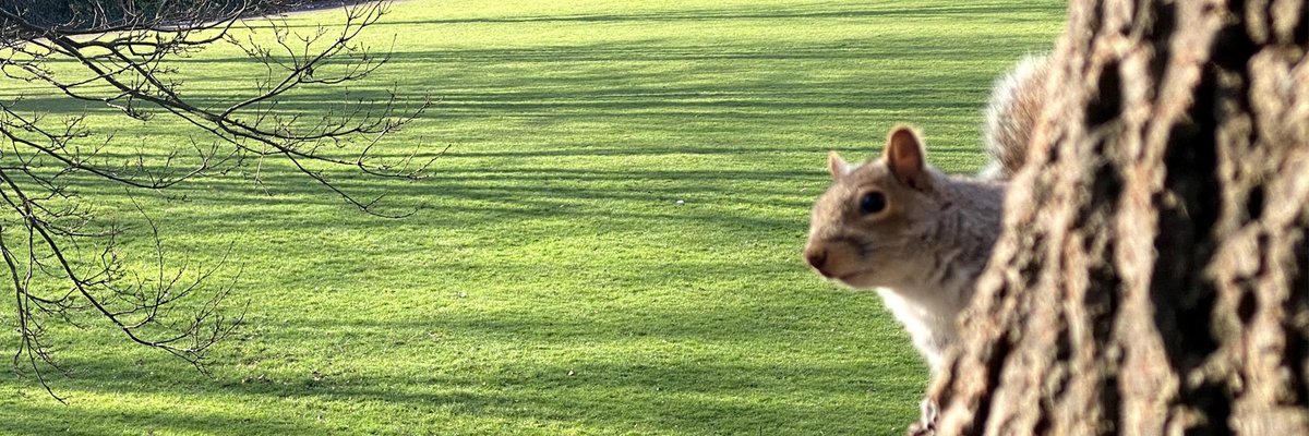 bridgingdotcom's tweet image. Would you like to know more about us? Simply click on the link below fill in your details and a member of our team will contact you. Alternatively, just pick up the phone and dial; +44 207 043 5271 #bridgingfinance #commercialfinance #developmentfinance   bridging.com/contact-us/