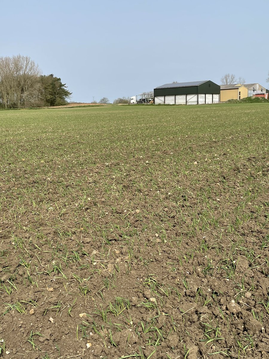 Tom Bradshaw tweet media