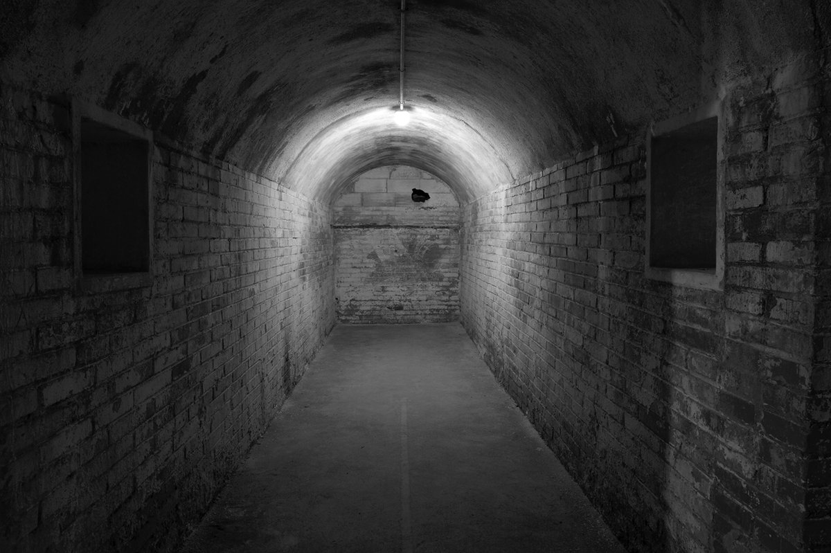 catmemoria's tweet photo. ✝️ Tomàs Pons Albesa va morir afusellat al Camp de la Bota l'any 1941, amb 31 anys.
📷 La seva besneboda #EspePons reconstrueix els darrers indrets per on va passar a #Sotalallumdelmar
🗓 Al @museuexili fins al 27 de juny.
📲 https://t.co/hihpi1OtgH https://t.co/zo2RgucTbM