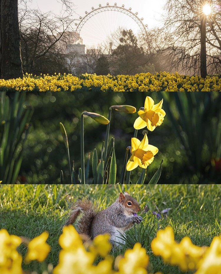 The Cavendish London tweet media