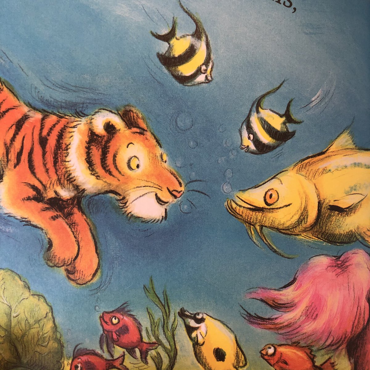 If anyone can inspire me to go sea swimming, it’s this little tiger! It’s publication day for #TobyTheDeepSeaDiver by #SharonRentta – second in her #AnimalExplorers series. Gorgeous characters and a warm, funny, inspiring story. #proudpublisher #alisongreenbooks @scholasticuk