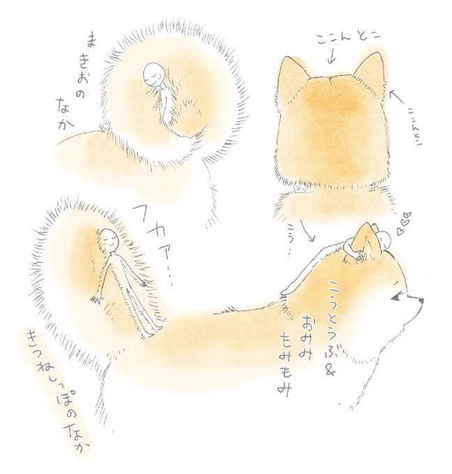 運ばれたい!とおっしゃって下さった方々の為にオプションを用意しました?どちらに致しましょう?? 