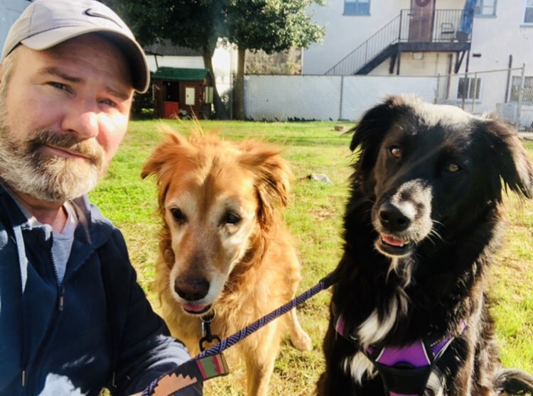 davebentonWCHS's tweet photo. HAPPY BIRTHDAY #4 Maddie Lou! You are the perfect pup... &amp; a great lil’ sister to Libby Sue 🎂🎉🎈#eyewitnesswv #aussiecollie #maddielou #goldenretriever #libbysue https://t.co/ZeB1IymTOP