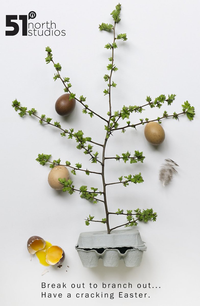 51northstudio (@51_degreesnorth) on Twitter photo 