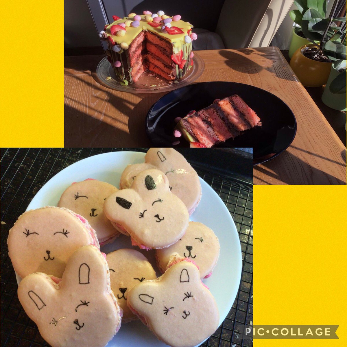 nicolemcmen's tweet photo. Easter baking challenge @Sandym0untPark 🐣🍰 https://t.co/MqN88ddCFd