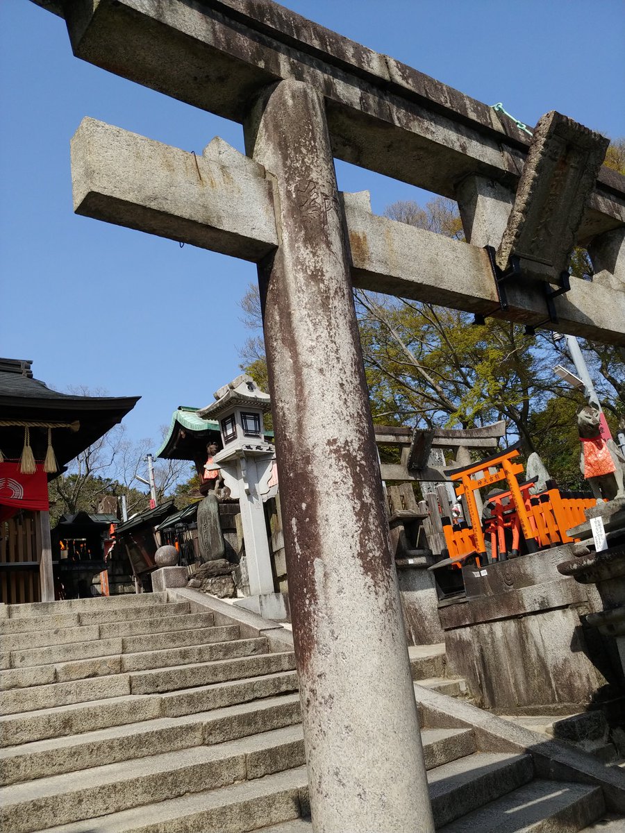 奇稲田@添い遂げ退団 tweet media