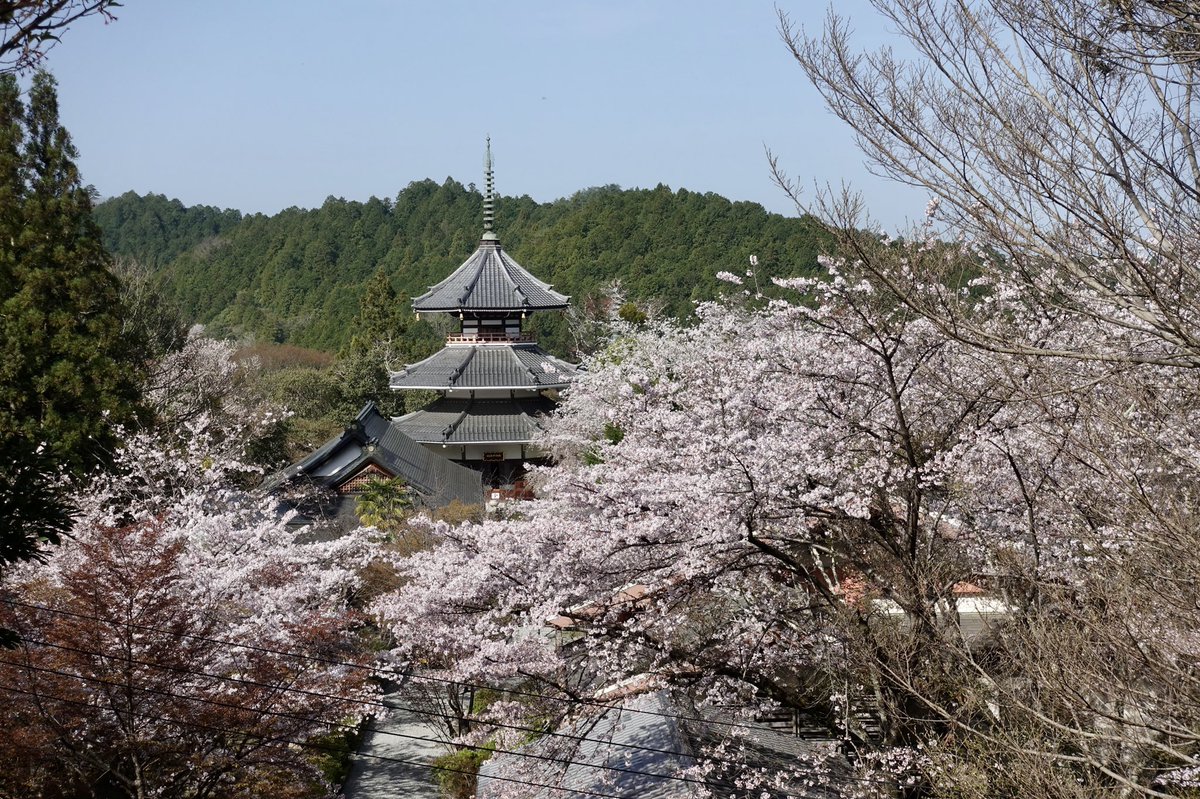 吉野山一目千本桜 吉野神宮 Togetter 吉野山一目千本桜 吉野神宮 Togetter