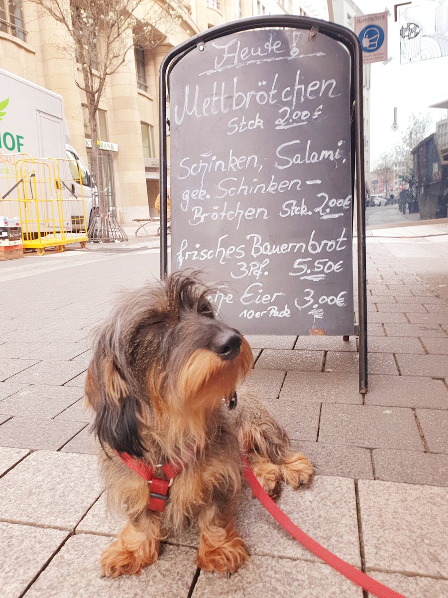 FrauAntjeF's tweet photo. MmhhhmMettbröttchen
#Schillermarkt #Frankfurtisstlecker https://t.co/J6Mg7JHYcY