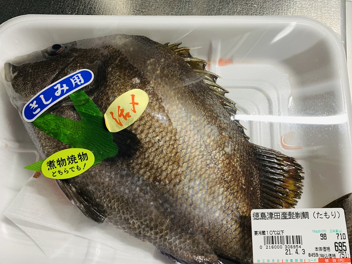 エイプリルフールなので魚を買って帰ったよって知ってて なぜか徳島ではタモリって 知ってるちゃんのイラスト